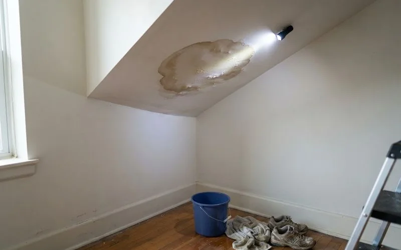 A ceiling stain from a roof leak in an Ontario home, showing water damage that could indicate mold risk behind the surface