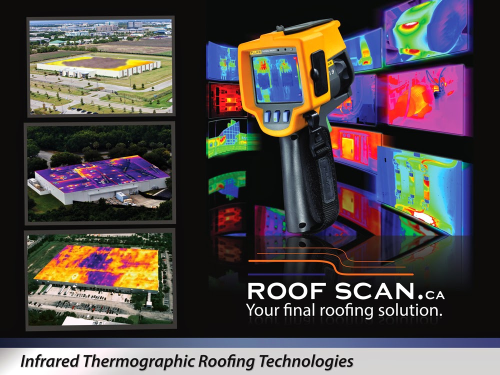 Roof Scan