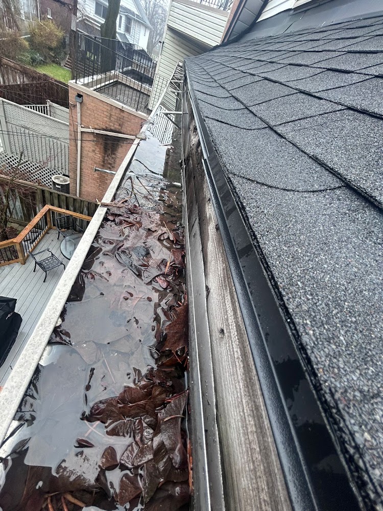 The Roof Whisperer of Brampton - Roof Repair & Skylight Contractor