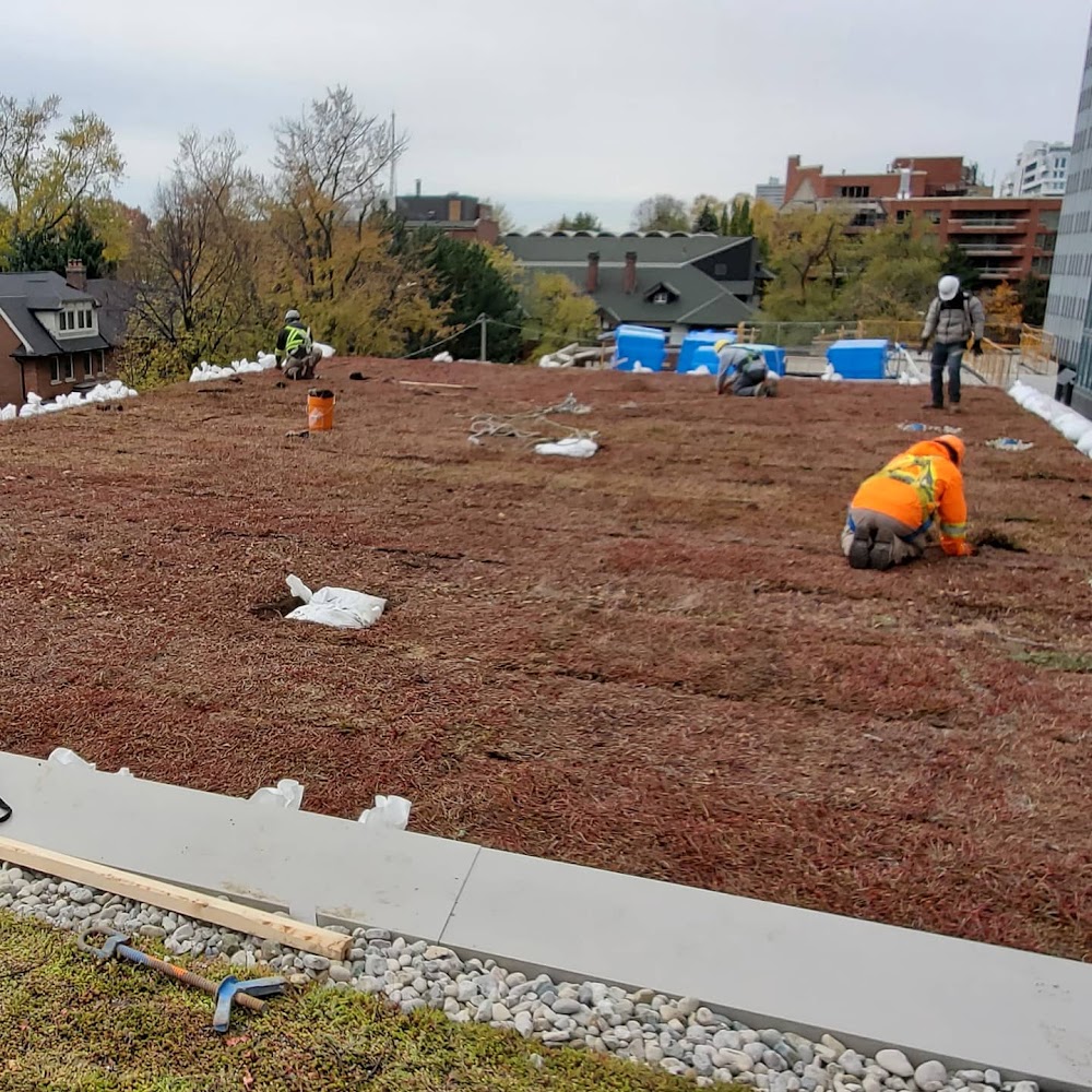 Toronto Green Roof Inc.