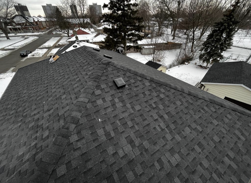 Roofing Monkeys