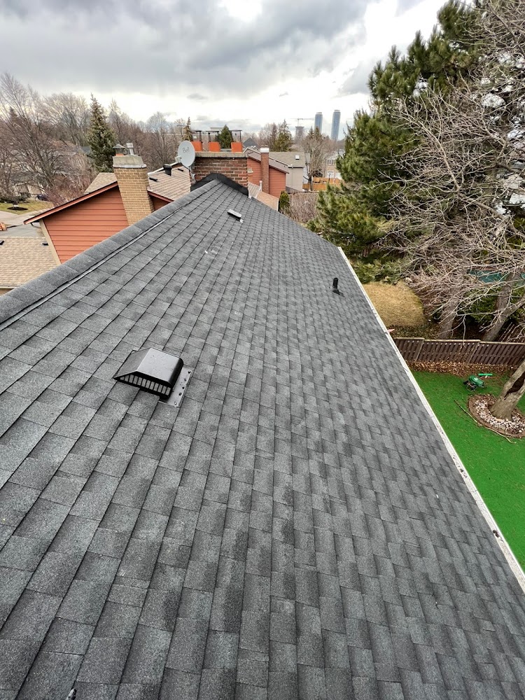 BNS Roofing