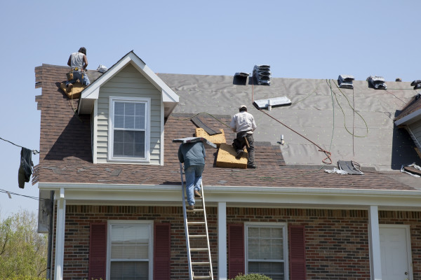 MAPLE STAR ROOFING AND RENOVATION