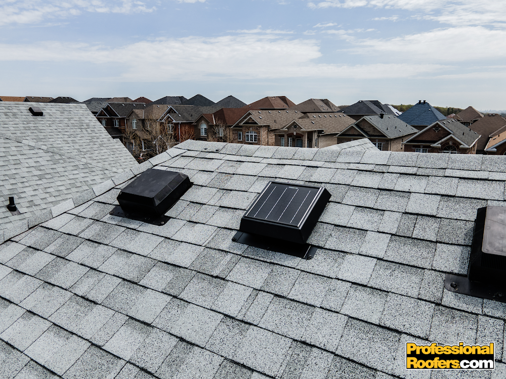 Professional Roofers.