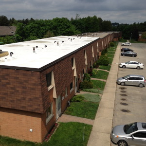 Alexim Roofing