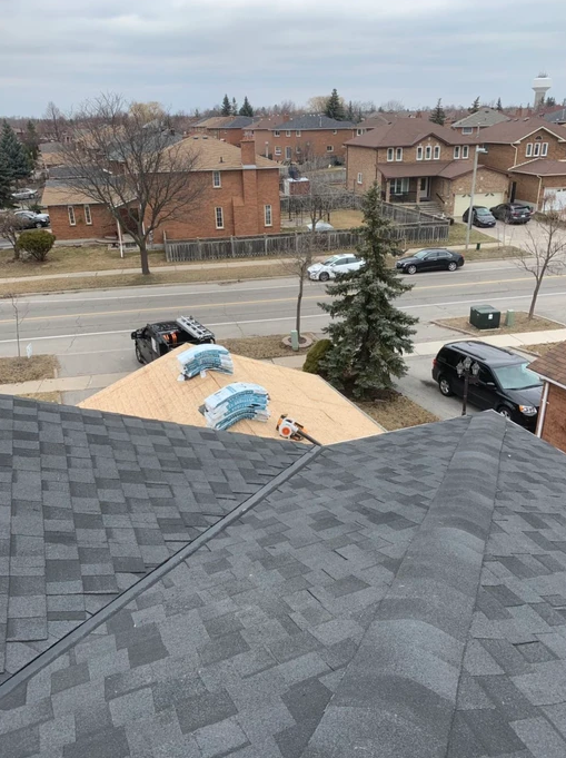 Panda Roofing Construction Services