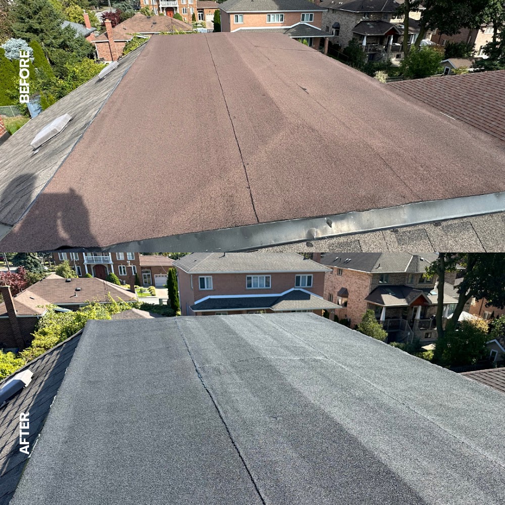 TR Flat Roof Repair
