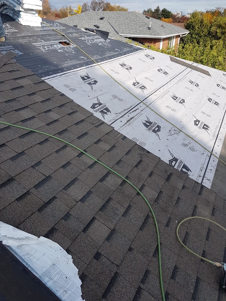 Maplesal Roofing Ltd