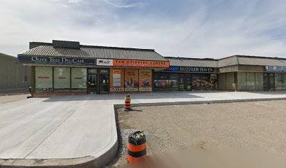 Brampton metal roofing company